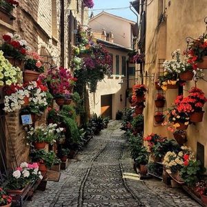 Meet your Posher, Sameen